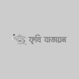 ব্রোকোলির পাতার রিং দাগ রোগ