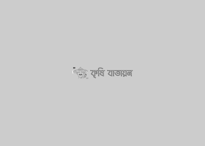 ক্ষতিগ্রস্থ কৃষকের পাশে সম্মানিত উপ-পরিচালক (ডিএই,ফরিদপুর) স্যার!