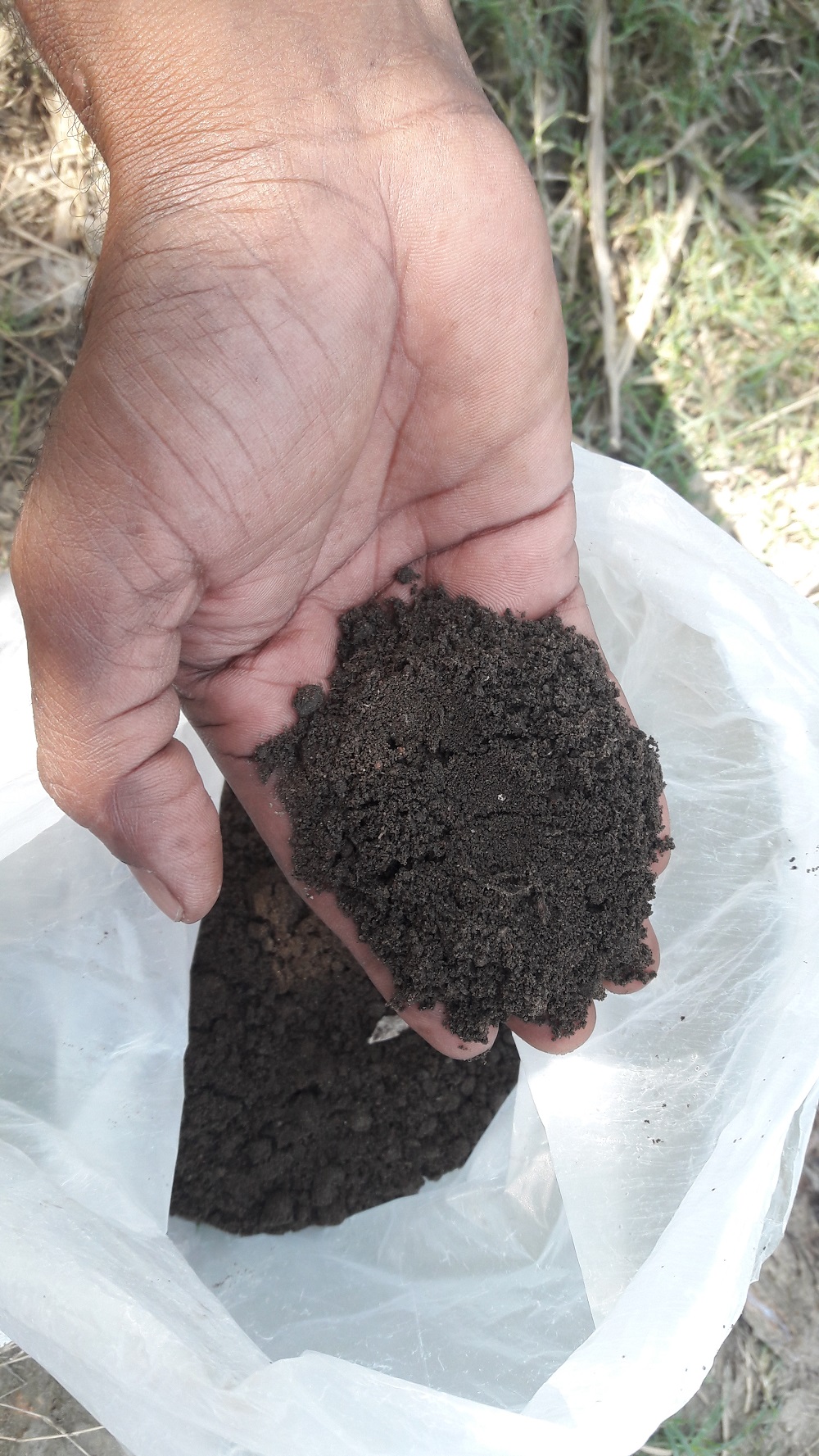 কিচেন কম্পোস্ট